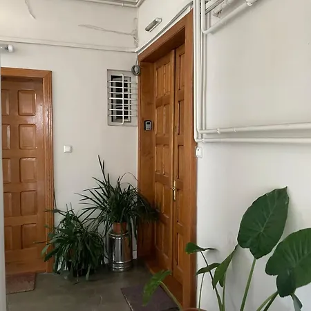 Apartment Classical In Historical Building Timisoara